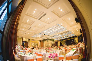 大慶藝群婚慶 以專業(yè)匠心，雕琢您的豪華婚禮夢想